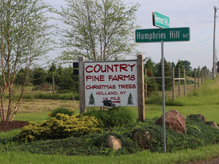 Directions to Country Pine Farm